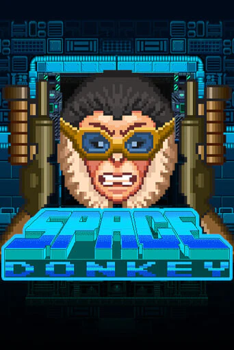 Space Donkey от  демо версия | VAVADA без регистрации
