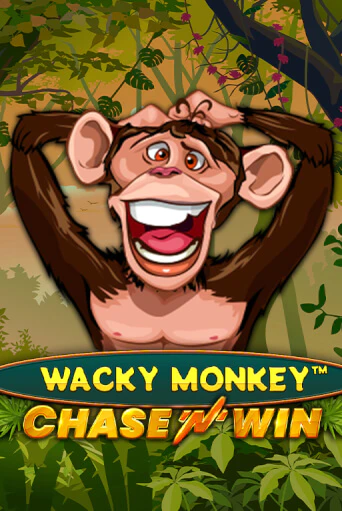 Wacky Monkey - Chase'N'Win от  демо версия | VAVADA без регистрации