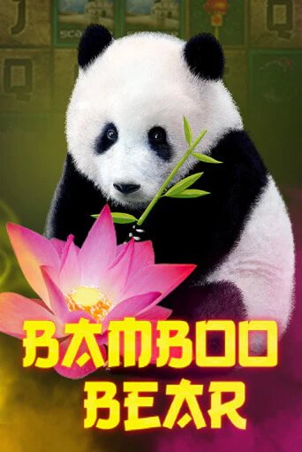 Bamboo Bear от  демо версия | VAVADA без регистрации